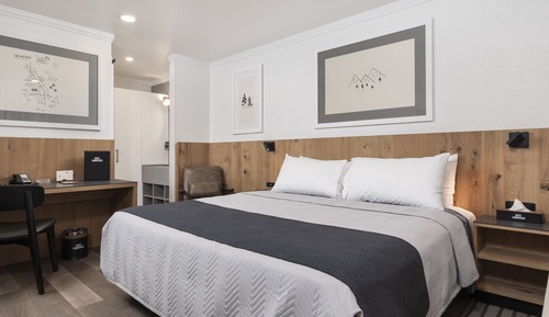 Room, 1 King Bed