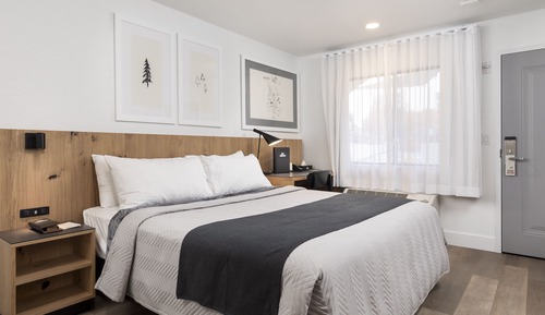 Room, 1 King Bed, Roll-in Shower
