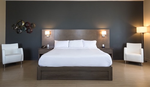 Suite, Studio-loft Style, 1King Bed and Sofabed