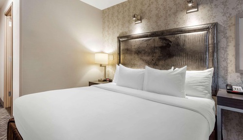 Standard Room, 1 King Bed, Non Smoking