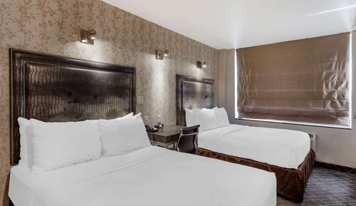 Standard Double Room, 2 Double Beds, Non Smoking