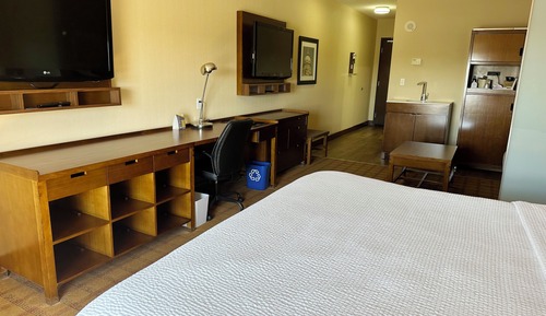 Room, 1 King Bed with Sofa bed