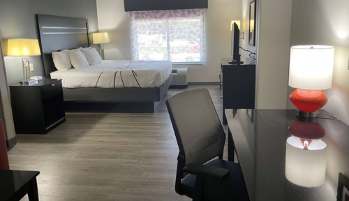 Room, 1 King Bed, Accessible, Non Smoking (Mobility, Roll-in Shower)