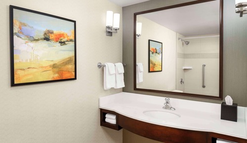 Suite, 1 King Bed