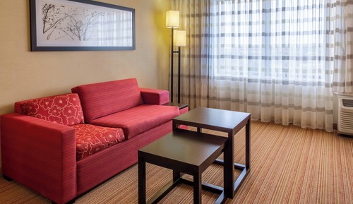 Room, 1 King Bed with Sofa bed (Mobility/Hearing Access, Roll-In Shwr)