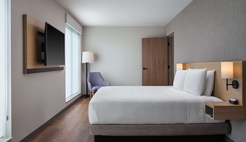 Suite, 1 King Bed with Sofa bed