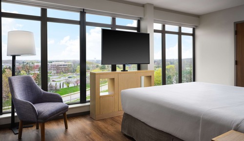 Suite, 1 King Bed with Sofa bed, Accessible, Bathtub