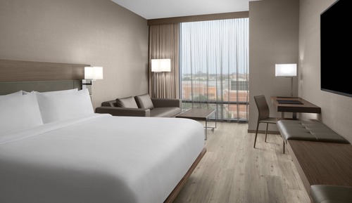 Room, 1 King Bed with Sofa bed (Hearing Accessible)