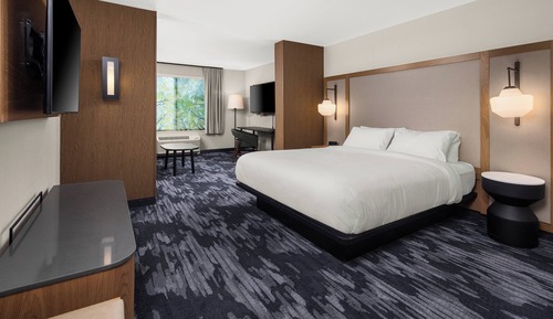 Suite, 1 King Bed with Sofa bed