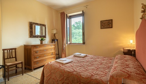 Basic Double Room