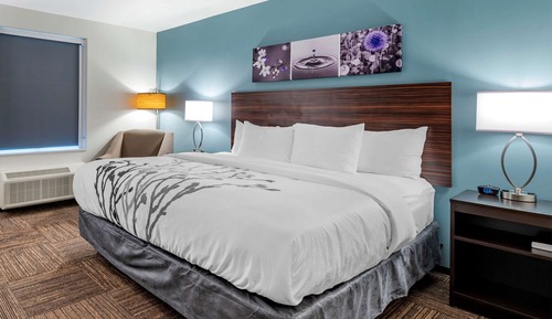 Standard Room, 1 King Bed, Non Smoking