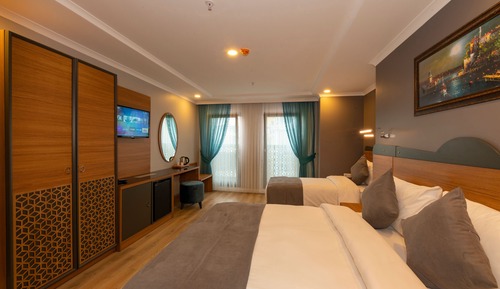 Deluxe Double or Twin Room