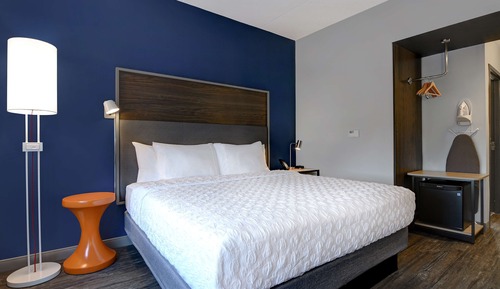 Room, 1 King Bed
