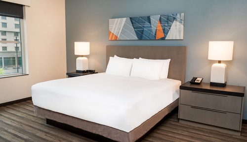 Room, 1 King Bed