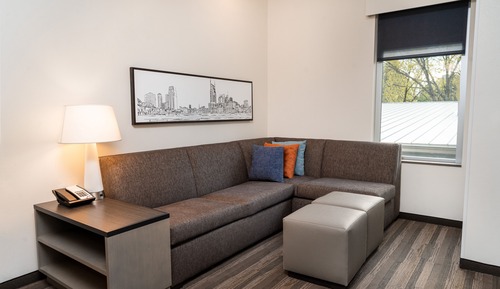 Room, 1 King Bed, Accessible (Shower)