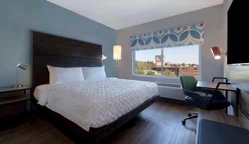 Room, 1 King Bed