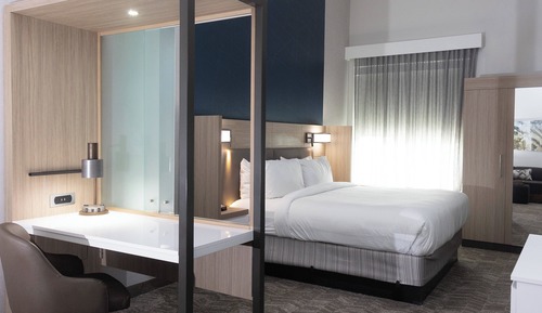 Studio Suite, 1 King Bed with Sofa bed