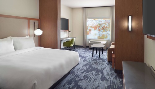 Suite, 1 King Bed with Sofa bed (Mobility/Hearing Access, Roll-In Shwr)