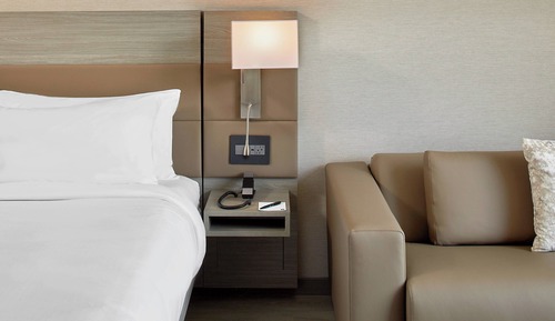 Room, 1 King Bed with Sofa bed (Mobility Accessible, Roll-In Shower)