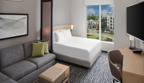 Room, 1 King Bed with Sofa bed, Accessible (Roll-in Shower)
