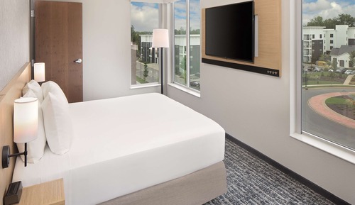 Suite, 1 King Bed with Sofa bed, Accessible, Bathtub