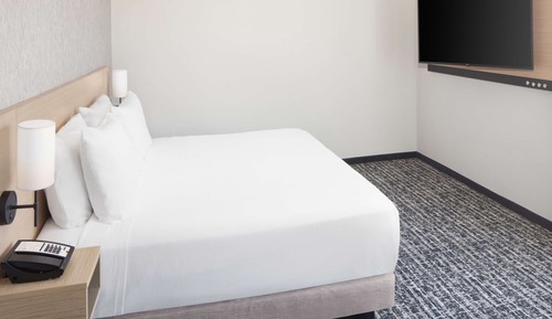 Room, 1 King Bed with Sofa bed, Accessible, Bathtub