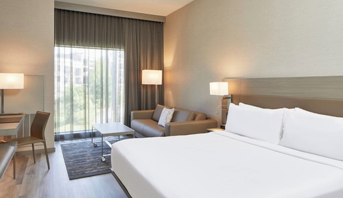 Room, 1 King Bed with Sofa bed (Hearing Accessible)