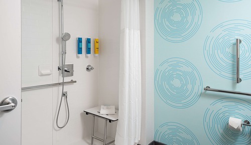 Room, 1 King Bed, Accessible (Roll-In Shower)