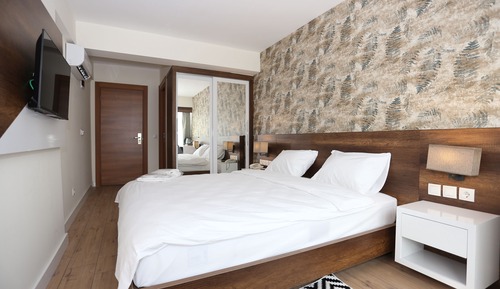 Deluxe Double Room, 1 Queen Bed