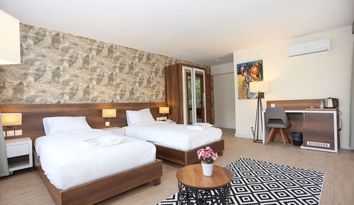 Deluxe Twin Room