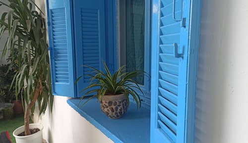 Basic Apartment