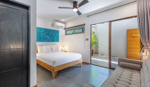 Premium Room