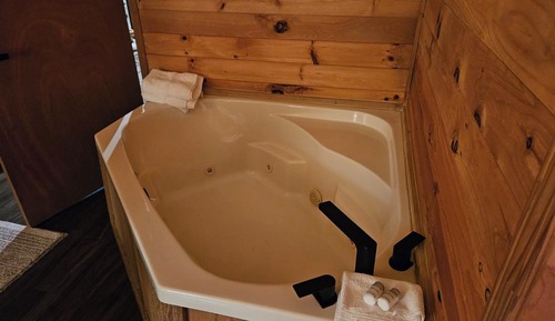 Signature Cabin, 1 Queen Bed, Mountain View, Slope side