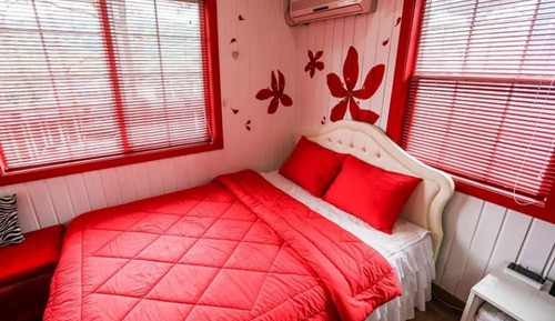 Room (Pine Cone 2)