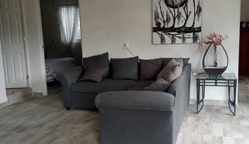 Classic Apartment
