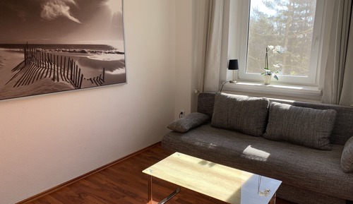 Basic Apartment