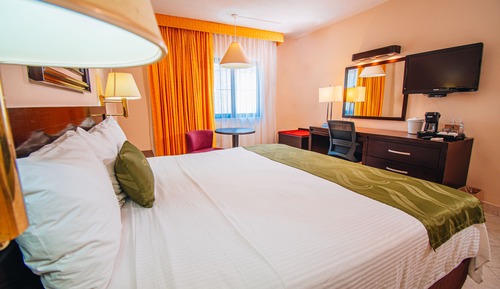 Standard Room, 1 King Bed