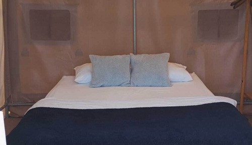 Basic Tent