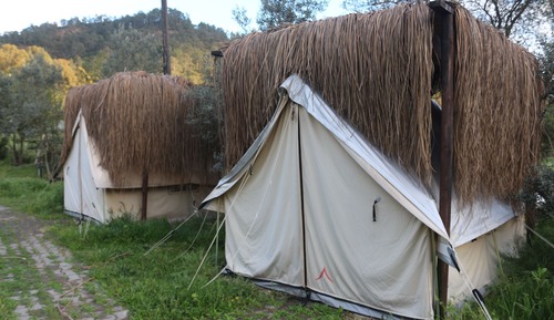 Family Tent