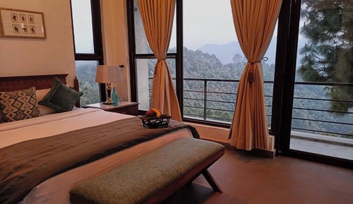 Pine Forest Suite
