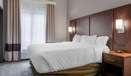 Standard Room, 1 King Bed, Accessible, Non Smoking