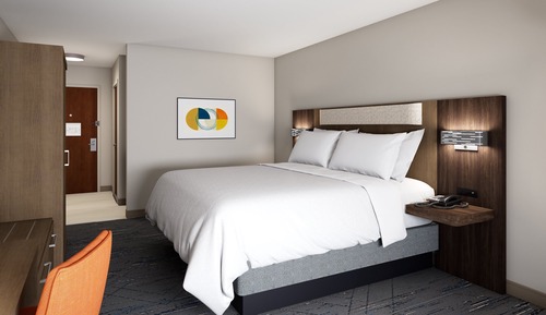 Room, 1 King Bed, Accessible (Hear, Roll In Shwr)