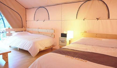 Room (Glamping-Twin Room)