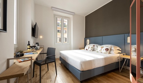 Deluxe Double or Twin Room