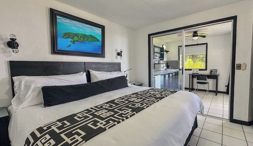 Superior Studio Suite