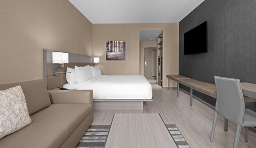 Room, 1 King Bed, Non Smoking (Mobility Accessible, Transfer Shower)