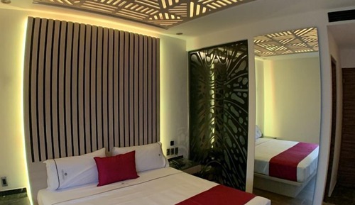 Comfort Single Room