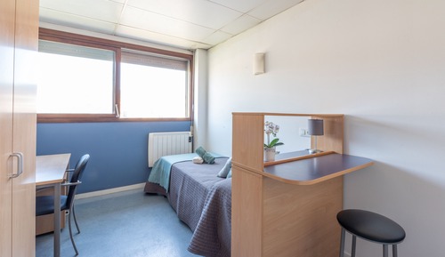 Room, 1 Twin Bed