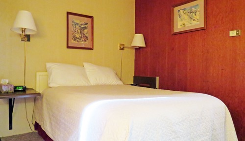 Standard Room, 1 Double Bed, Non Smoking, Refrigerator & Microwave