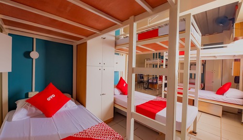 Shared Dormitory, Mixed Dorm